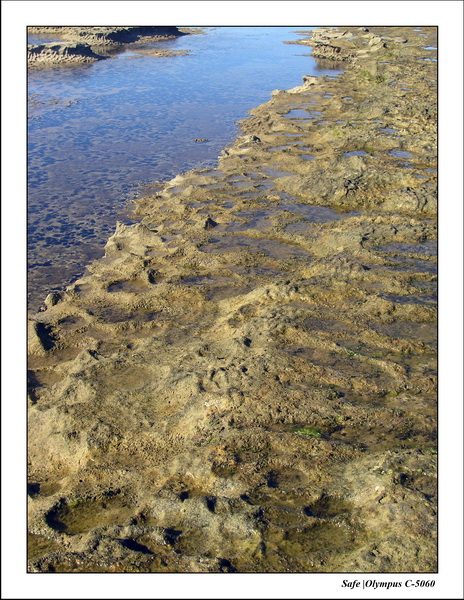 2005 - 11 - Porto de galinhas - alto muro 29.JPG